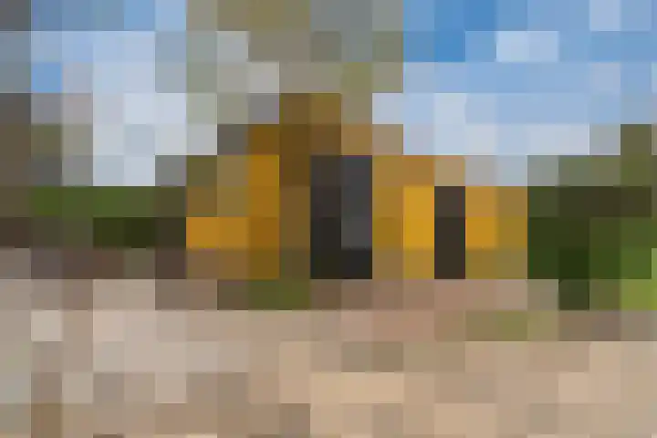 De Haspel 9 Arnhem thumbnail 27