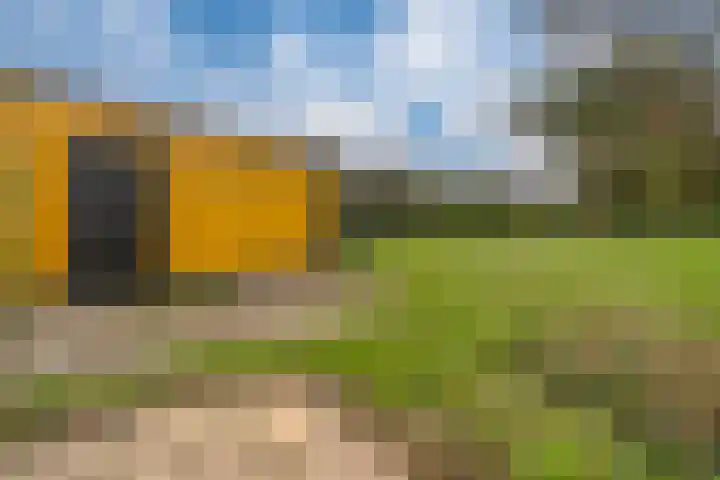 De Haspel 9 Arnhem thumbnail 28