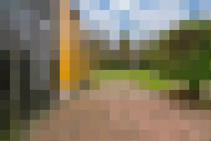 De Haspel 9 Arnhem thumbnail 29