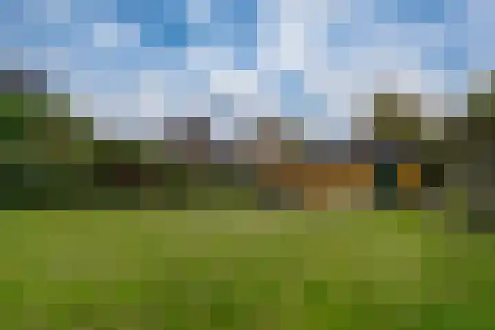 De Haspel 9 Arnhem foto 3