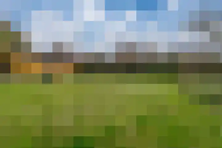De Haspel 9 Arnhem thumbnail 30