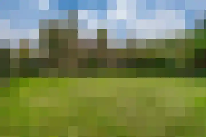 De Haspel 9 Arnhem thumbnail 31