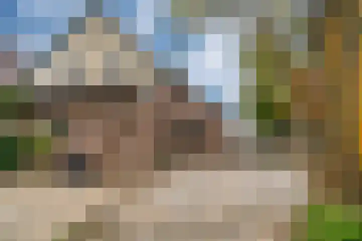 De Haspel 9 Arnhem thumbnail 32