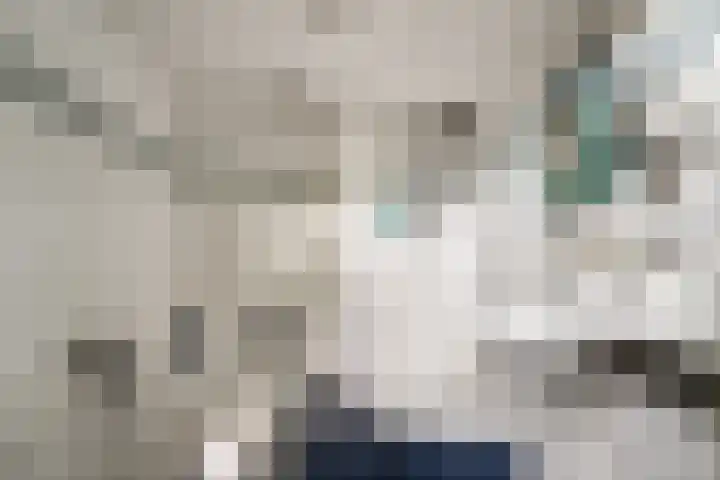 De Haspel 9 Arnhem thumbnail 38