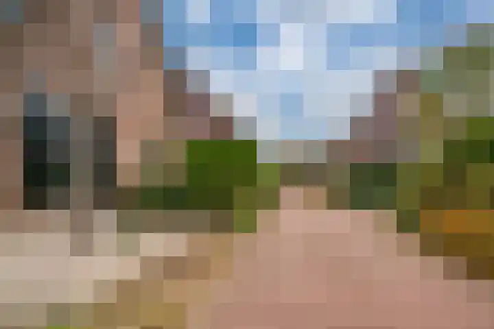 De Haspel 9 Arnhem thumbnail 4