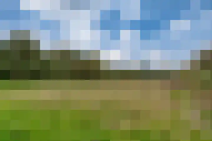 De Haspel 9 Arnhem thumbnail 41