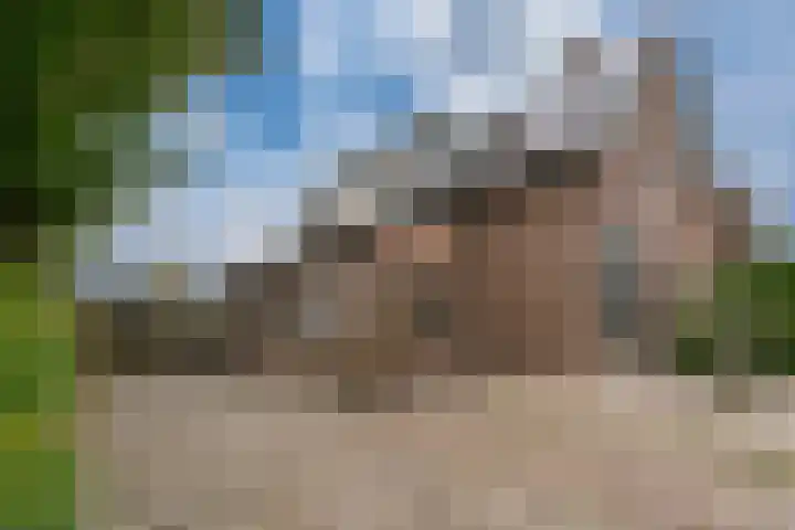 De Haspel 9 Arnhem thumbnail 46