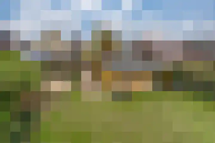 De Haspel 9 Arnhem thumbnail 47