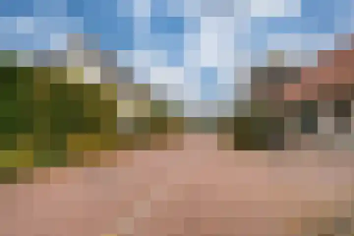 De Haspel 9 Arnhem thumbnail 5
