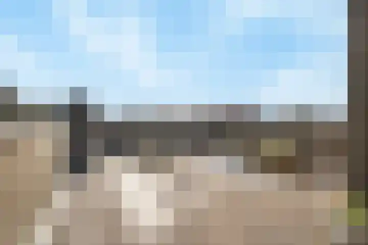 De Hasselt 5 Riethoven thumbnail 15