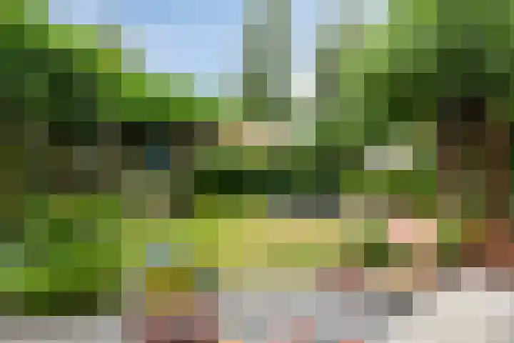 De Hasselt 5 Riethoven thumbnail 19