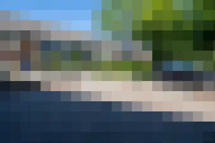 De Hasselt 5 Riethoven thumbnail 27