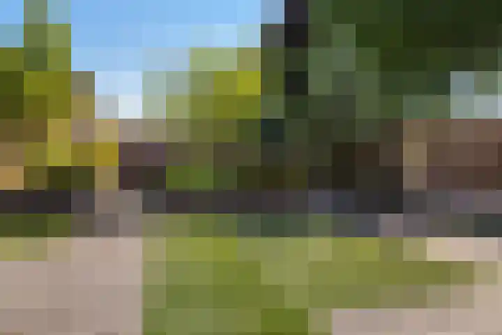 De Hasselt 5 Riethoven thumbnail 30