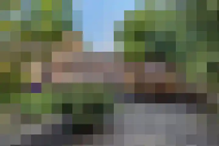 De Hasselt 5 Riethoven thumbnail 32
