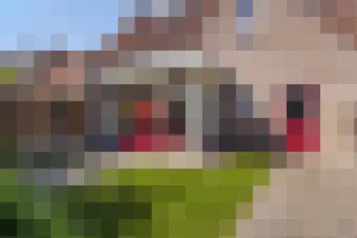 De Hasselt 5 Riethoven thumbnail 36