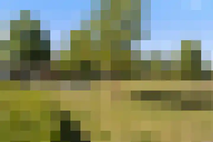 De Hasselt 5 Riethoven thumbnail 52