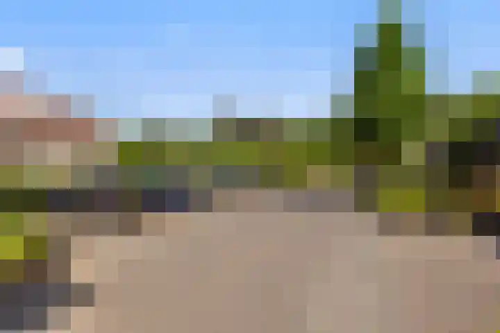 De Hasselt 5 Riethoven thumbnail 7