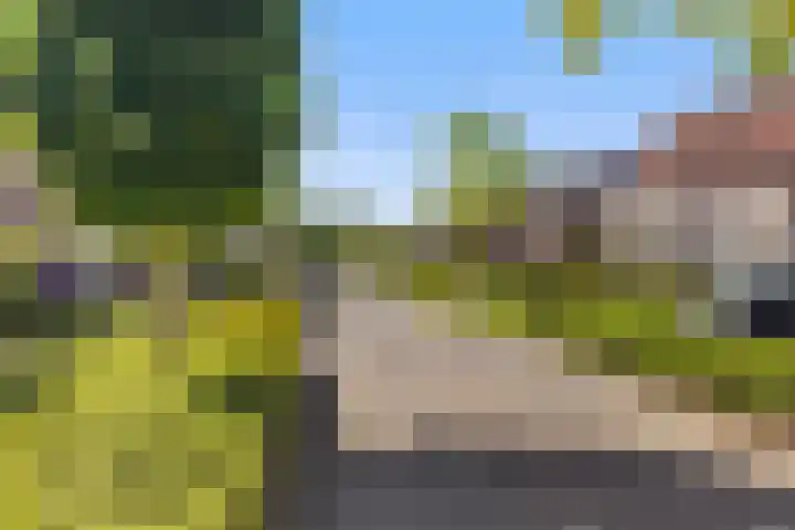 De Hasselt 5 Riethoven thumbnail 8