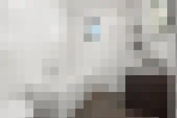 De Haverkamp 14 Lunteren thumbnail 19