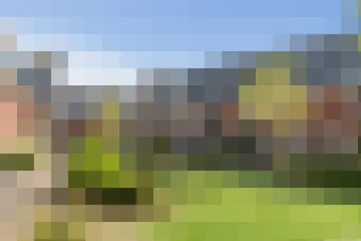 De Haverkamp 14 Lunteren thumbnail 30