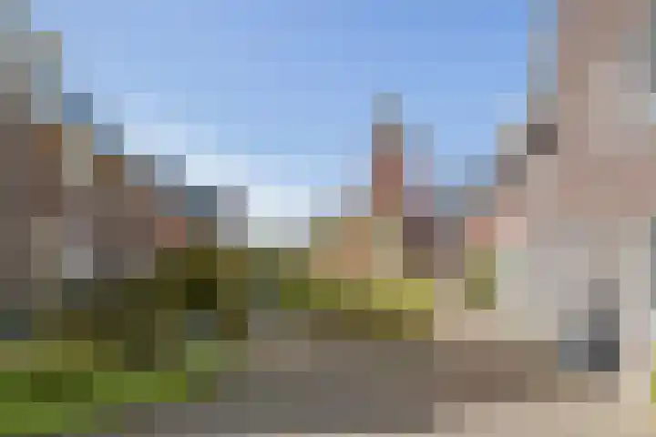 De Haverkamp 14 Lunteren thumbnail 37