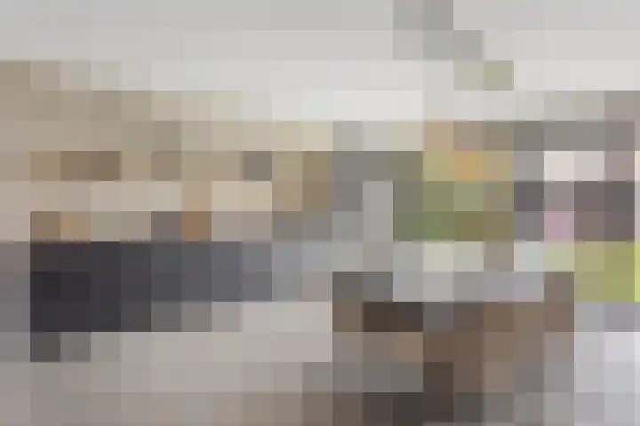 de Havik 13 Denekamp thumbnail 10
