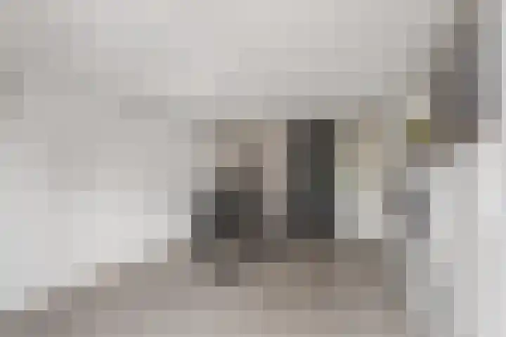 de Havik 13 Denekamp thumbnail 11