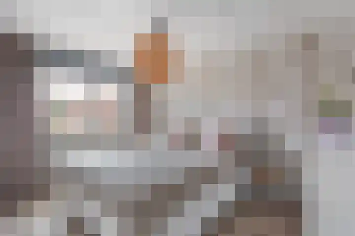 de Havik 13 Denekamp thumbnail 13