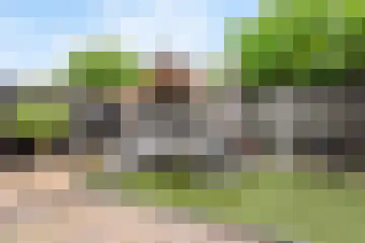 de Havik 13 Denekamp thumbnail 18