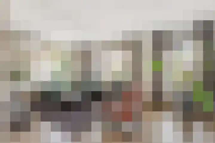 de Havik 13 Denekamp thumbnail 6