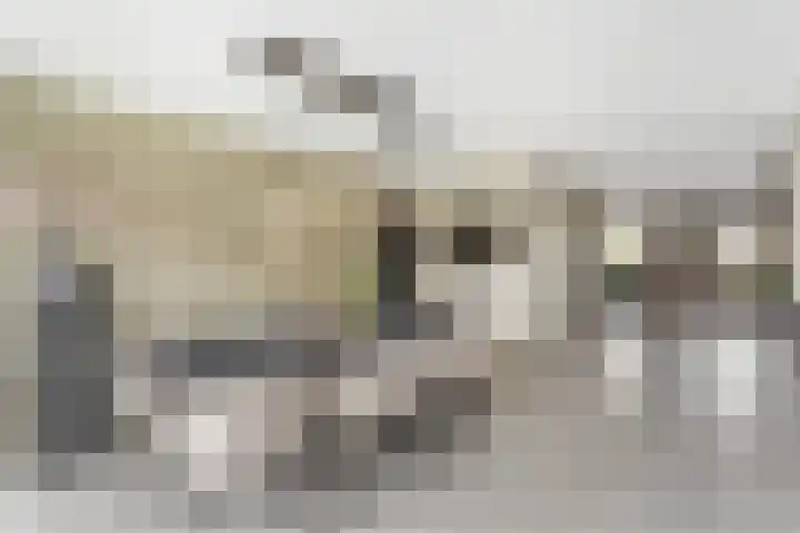 de Havik 13 Denekamp thumbnail 9