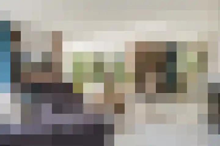 de Havik 48 Denekamp thumbnail 10