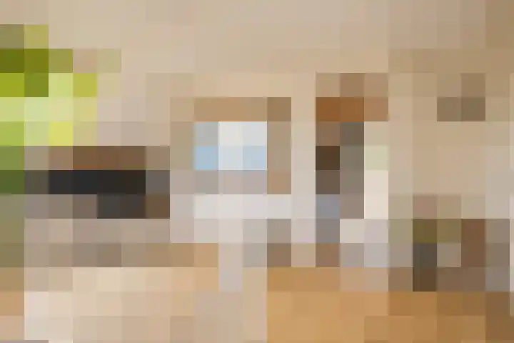 de Havik 48 Denekamp thumbnail 30