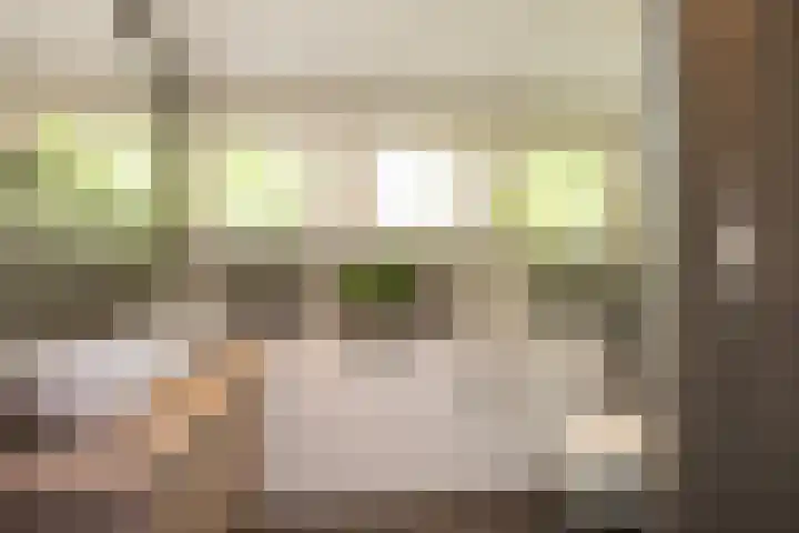 de Havik 48 Denekamp thumbnail 37