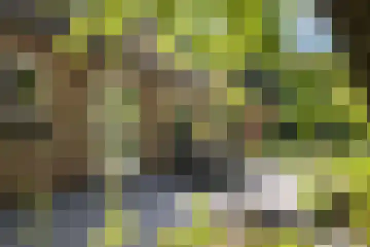de Havik 48 Denekamp thumbnail 43