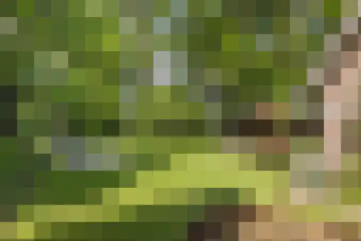 de Havik 48 Denekamp thumbnail 48