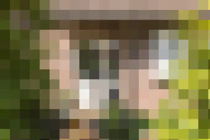 de Havik 48 Denekamp thumbnail 5