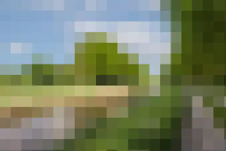 de Havik 48 Denekamp thumbnail 52