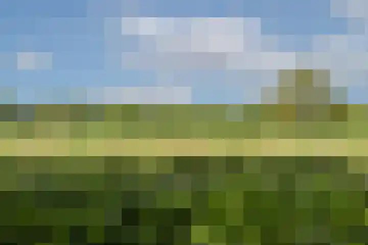 de Havik 48 Denekamp thumbnail 53