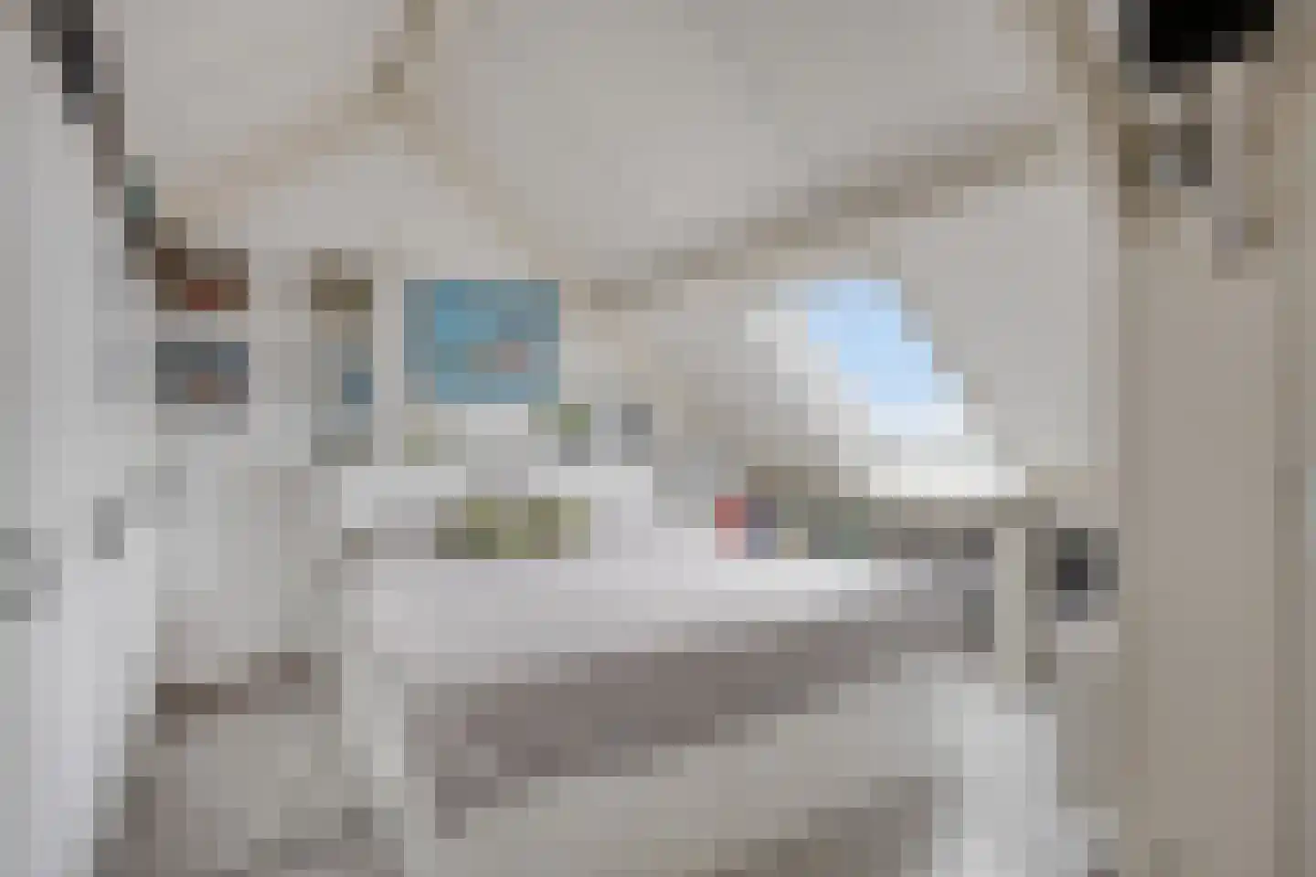 De Heenplaat 4 Made thumbnail 21