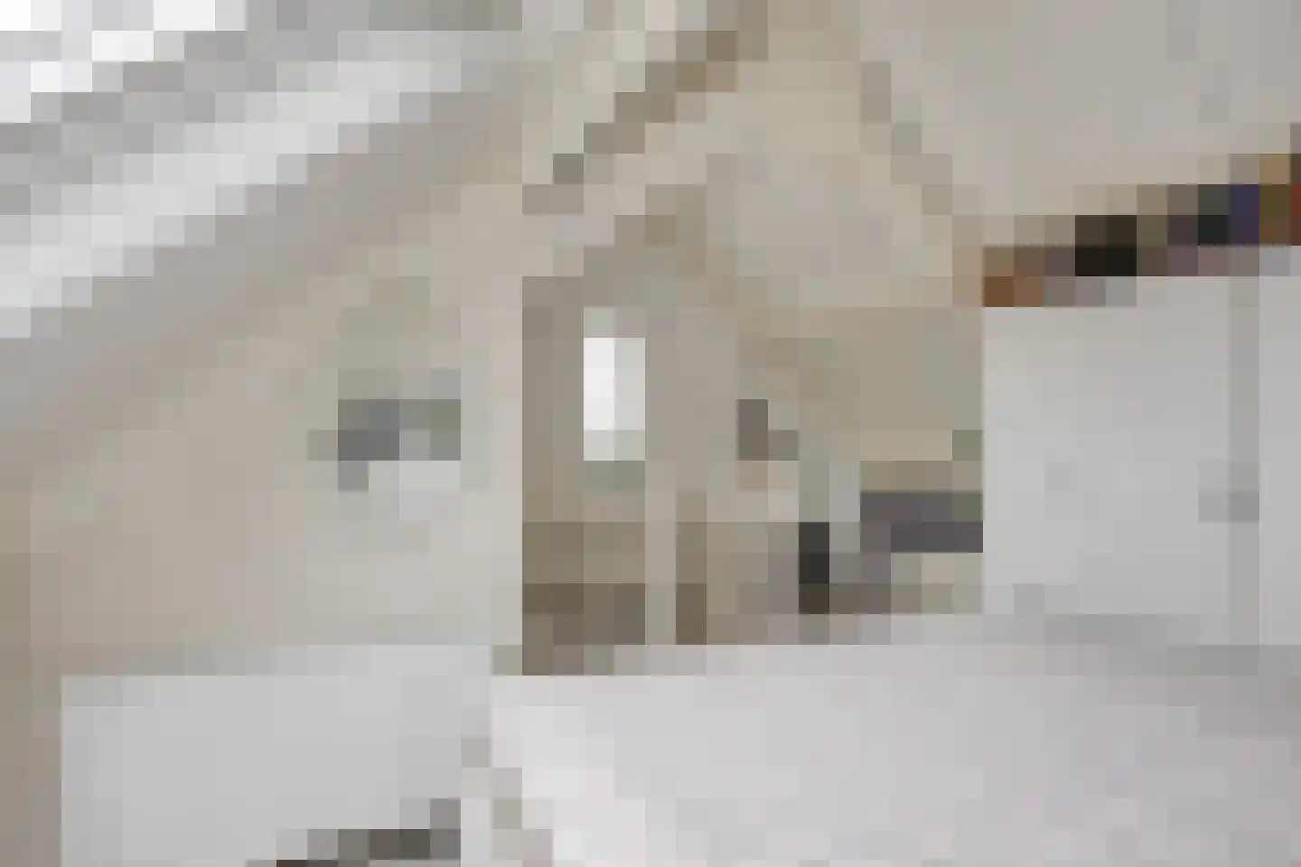 De Heenplaat 4 Made thumbnail 22