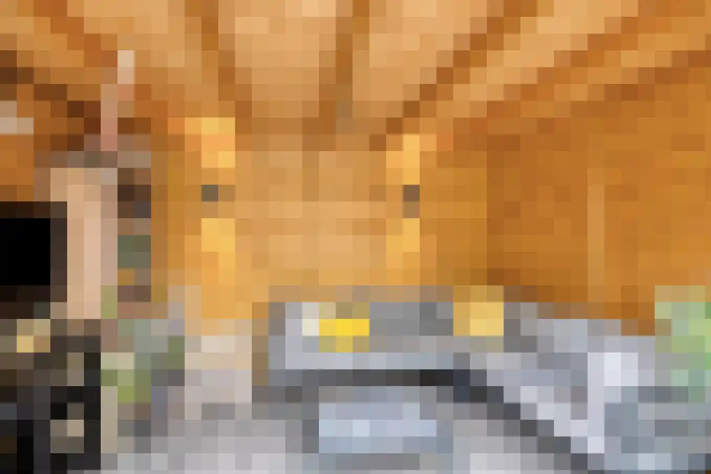 De Heenplaat 4 Made thumbnail 27