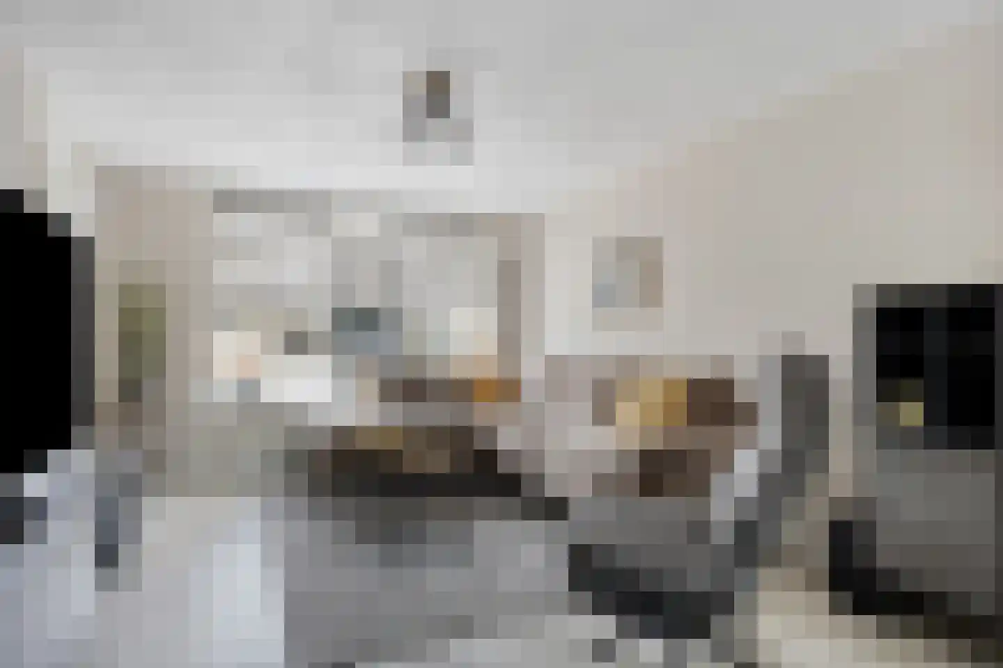 De Heenplaat 4 Made thumbnail 7