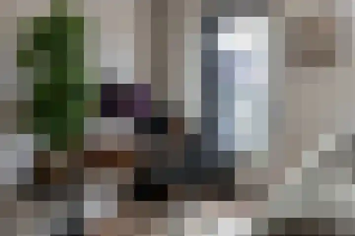 De Heerlijkheid 18 Tuk thumbnail 11