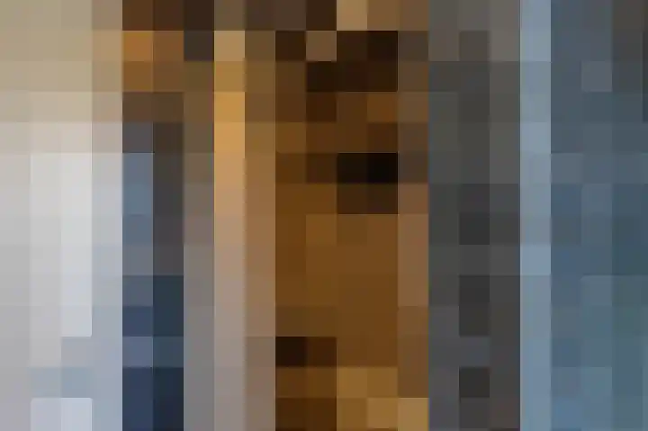 De Heerlijkheid 18 Tuk thumbnail 33