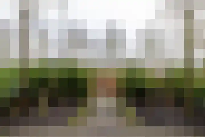 De Heerlijkheid 18 Tuk thumbnail 47