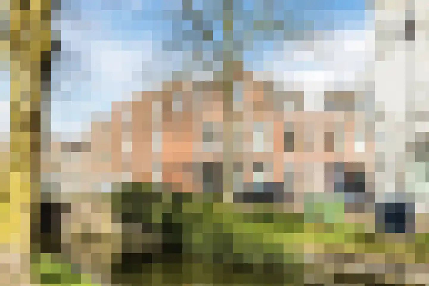 De Heerlijkheid 18 Tuk thumbnail 8