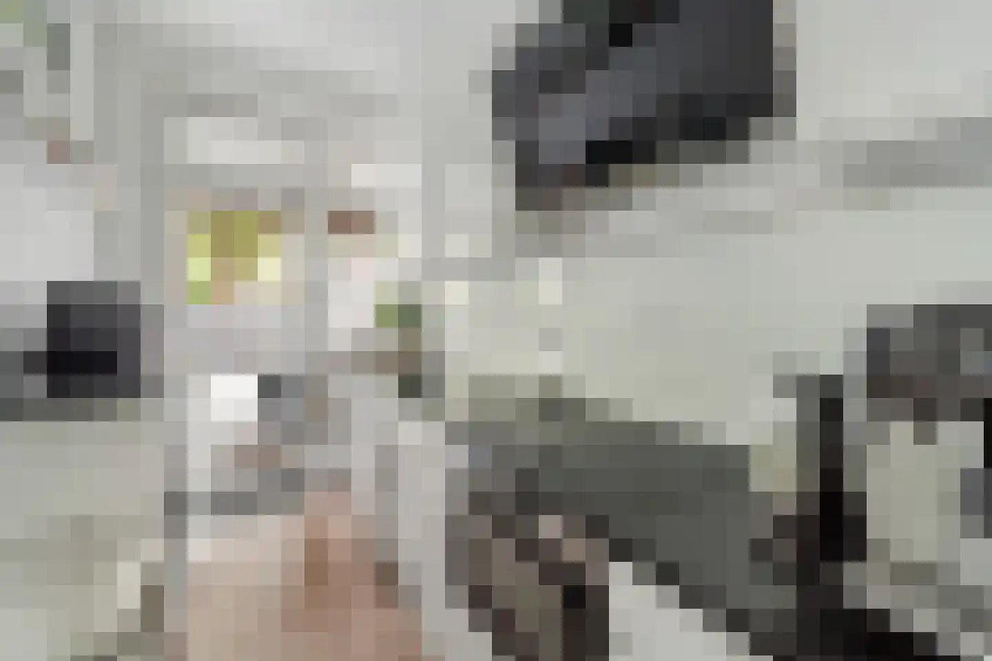 De Heerlijkheid 18 Tuk thumbnail 9