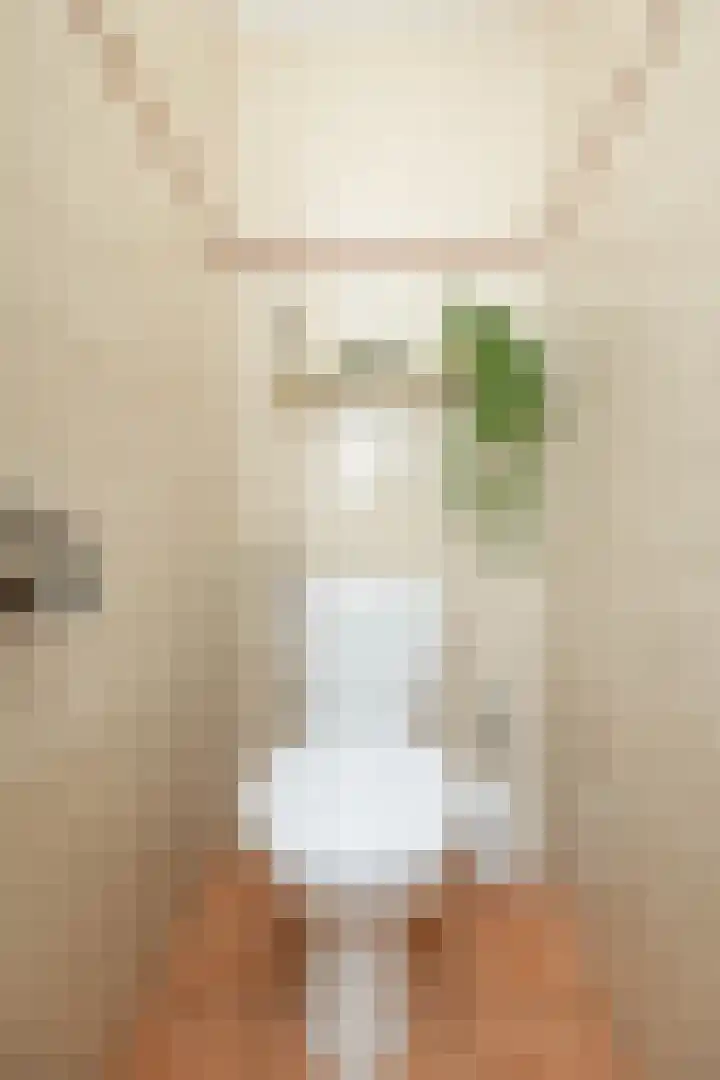 De Heerlijkheid 24 Tuk thumbnail 12