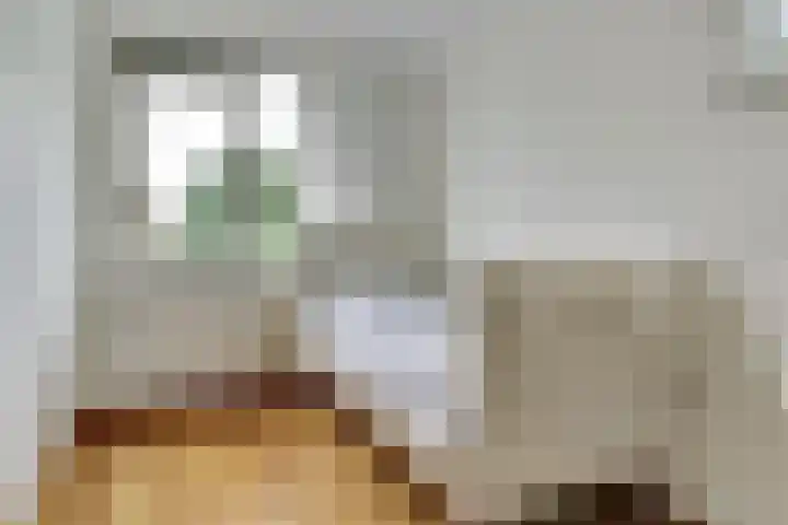 De Heerlijkheid 24 Tuk thumbnail 7